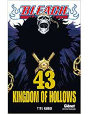 MANGA BLEACH TOME 43