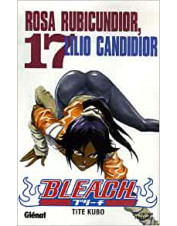 MANGA BLEACH TOME 17