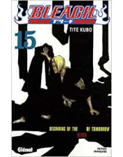 MANGA BLEACH TOME 15