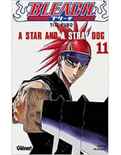 MANGA BLEACH TOME 11