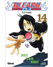 MANGA BLEACH TOME 14