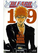 MANGA BLEACH TOME 19
