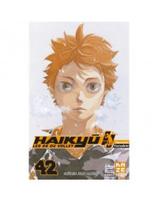 MANGA HAIKYU !! TOME 42