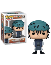 POP HUNTER X HUNTER GING...