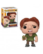 POP LE BOSSU DE NOTRE DAME...